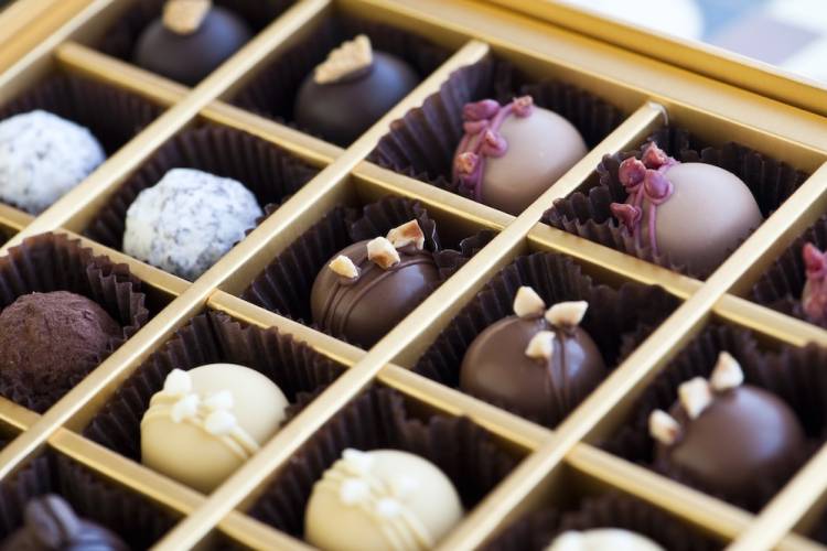 assorted chocolate truffles